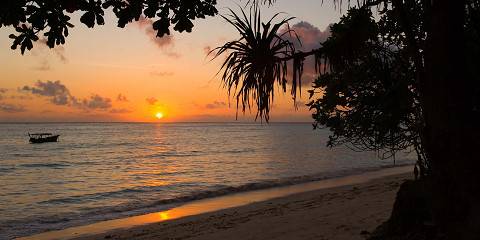 4-Day Private Safari Adventure in Style