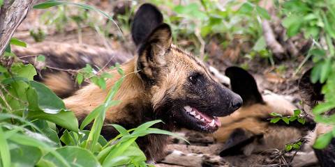 5-Day Nature Explore & Scenic Tour