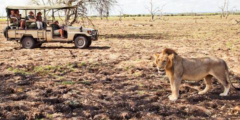 6-Day Safari with a Beach Extension