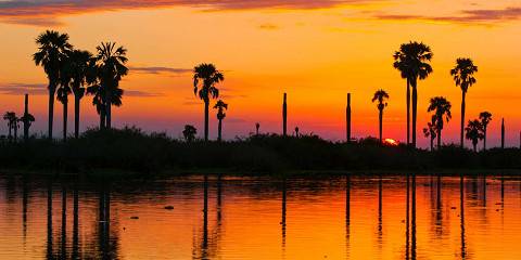 Selous & Ruaha Fly-in Safari