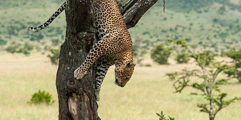 6-Day Tanzania Adventure Safari