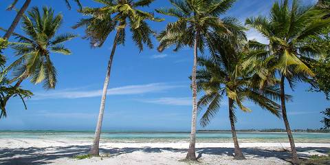 Bush Life Experience and Zanzibar White Sand