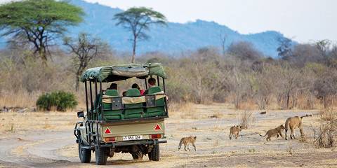 3-Day Clasic Mikumi Safari, Hiking & Waterfalls from Dar