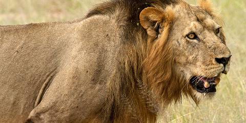 3-Day Explore Uluguru Waterfalls & Mikumi NP by Train