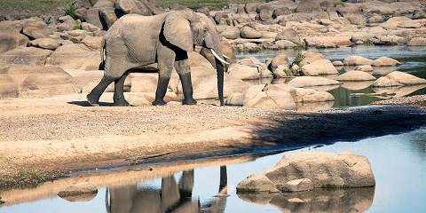 3-Day Group Safari - Serengeti & Ngorongoro Crater