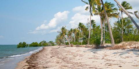 1-Day Saadan National Park from Dar Es Salaam