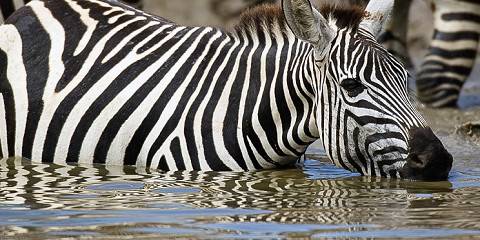 3-Day Mid Range Group Tour Adventures