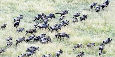 6-Day Active Safari with Empakai Hiking