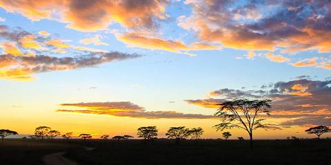 5-Day Best of Tarangire, Manyara, Serengeti, Ngorongoro