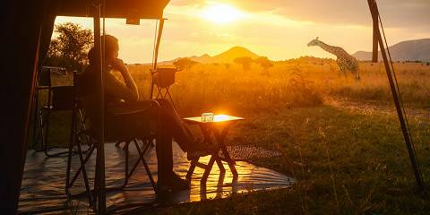 Luxury Safari to World Best Parks