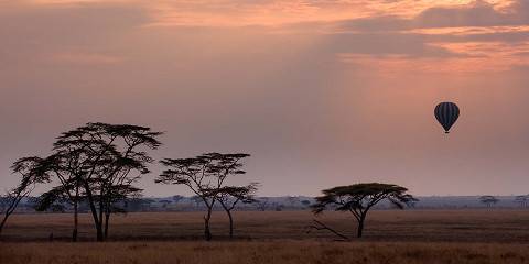 Manyara, Serengeti and Ngorongoro National Parks