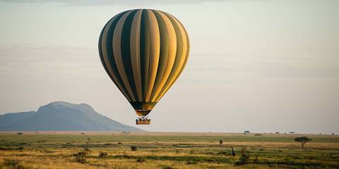11-Day Ultimate Tanzania Wildlife & Zanzibar Beach Escape