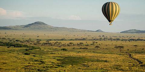 11-Day Tanzania Wildlife Safari and Beach Time