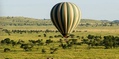 4-Day Fly in Serengeti &Fly out at Arusha Airport
