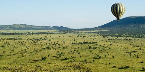 4-Day Wings over the Wild' Fly in Luxury Tanzania Safari