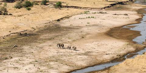 5-Day Group Tour Serengeti Ngorongoro Manyara Tarangire