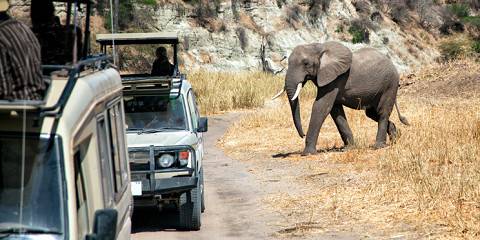 Serengeti & Ngorongoro, a Timeless Safari