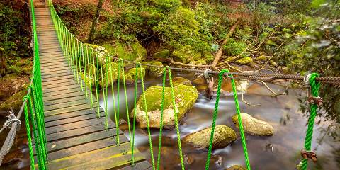 3-Day Mikumi & Udzungwa Mountains Trekking by Jeep