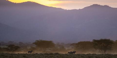 7-Day Kenya Safari - Amboseli, Mara & Nakuru