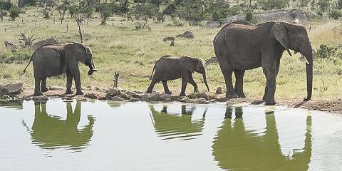 6-Day Tanzania Expedition Safari- Luxury Tour