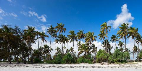 12-Day Special Honeymoon Holiday Tanzania & Zanzibar