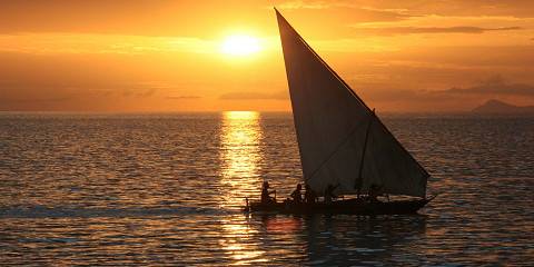 Tanzania Safari and Beach Safari