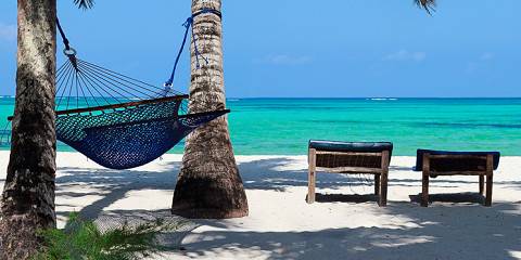 Wild Hearts & Turquoise Shores, Honeymoon Safari