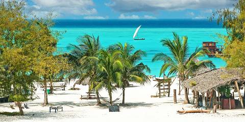 Wild to Waves Tanzania Safari and Zanzibar Retreat