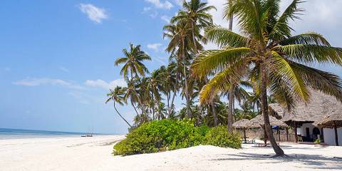5-Day Tarangire, Ngorongoro & Zanzibar Bliss & Flights
