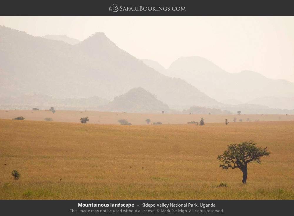 Mountainous landscape in Kidepo Valley NP in Kidepo Valley National Park, Uganda