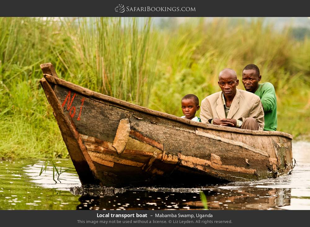 Local boat in Mabamba Swamp in Mabamba Swamp, Uganda