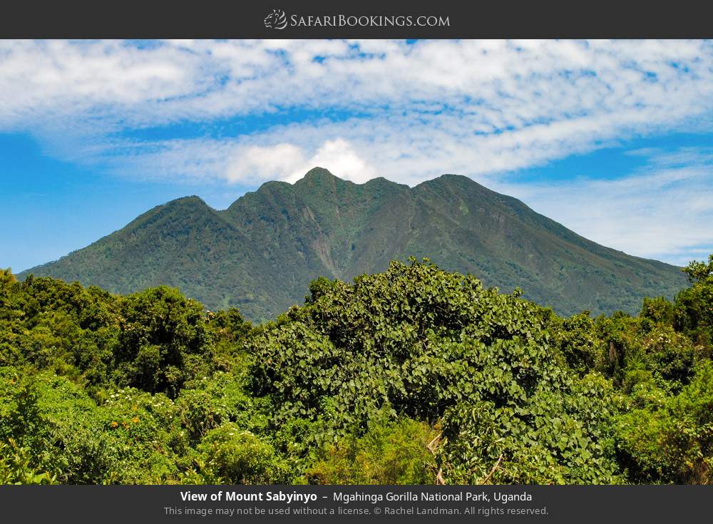 Mt Sabyinyo in Mgahinga Gorilla National Park, Uganda