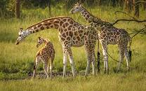 Lake Mburo National Park