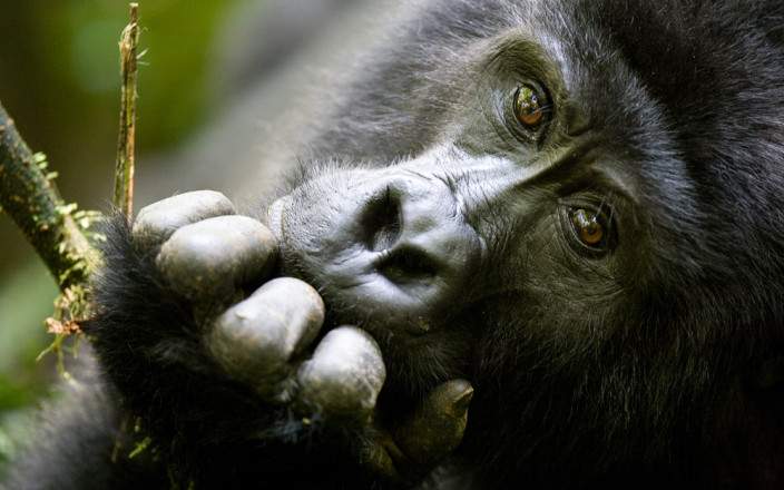 Open Photos