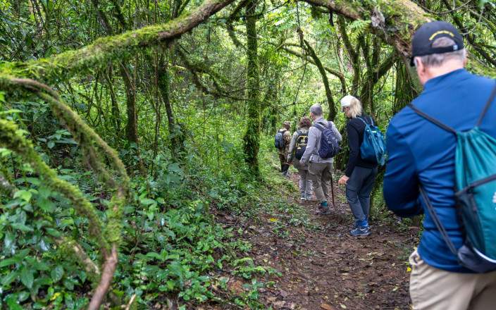 Open Photos
