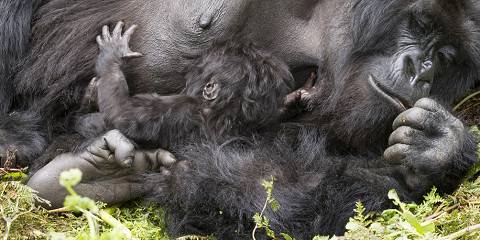 3-Day Lake Bunyonyi and Bwindi National Park