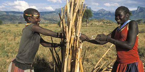 15-Day All Round Primates, Culture and Wildlife Safari