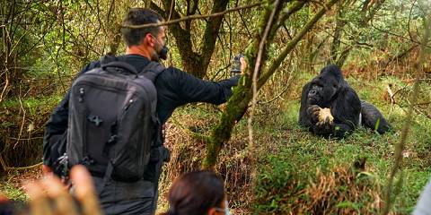 3-Day Budget Gorilla Trek & the Lake of 29 Islands