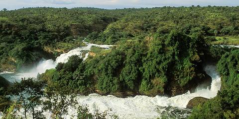 11-Day Best of Uganda Safari