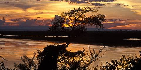 4-Day Ziwa Rhino & Murchison Falls National Park Tour