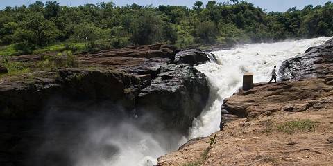 3-Day Murchison Falls National Park & Ziwa Rhino Trek