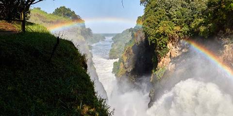 5-Day Murchison Falls & Kibale Chimpanzee Safari