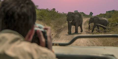 12-Day Wildlife, Gorilla Trekking and White Water Rafting