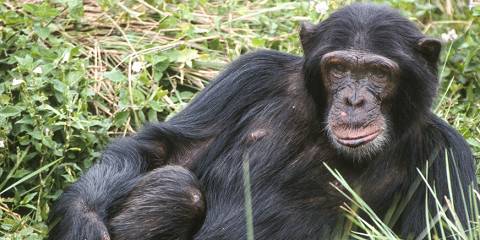 3-Day Exploring Queen Elizabeth National Park