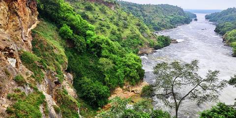Idrenaline Jinja Raft & Bungee on the Nile