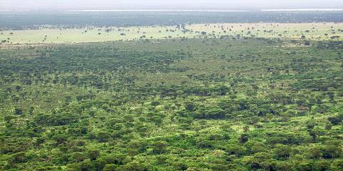 3-Day Queen Elizabeth National Park Wildlife Safari