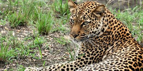 3-Day Murchison Falls National -Park