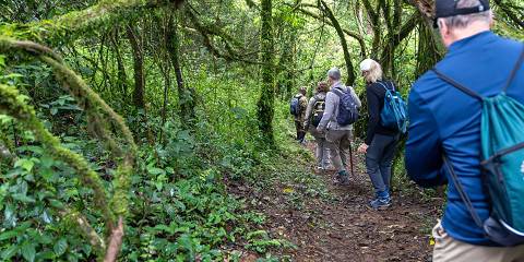 5-Day Into the Wild, Gorillas, Big Game Safari & Culture