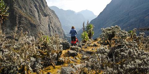 11-Day Rwenzori Mountains Climbing with 3 Peaks Summit