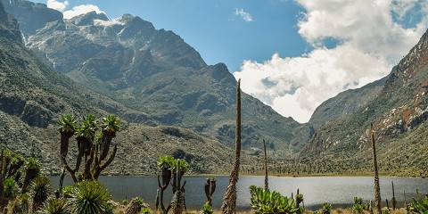 10-Day Mount Rwenzori Climbing via the Bukurungu Trail